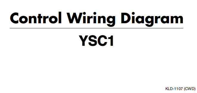 YSC1_cwd_je.pdf